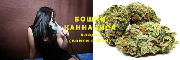 спиды Ладушкин