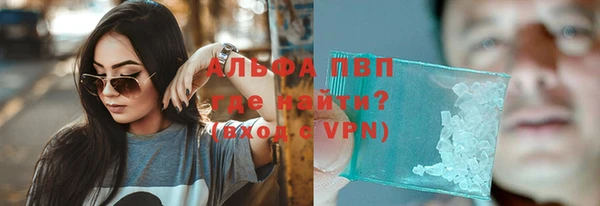 сатива Магас