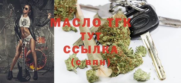 сатива Магас