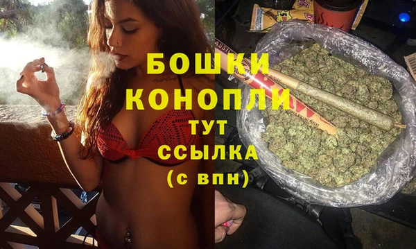 хмурый Мегион