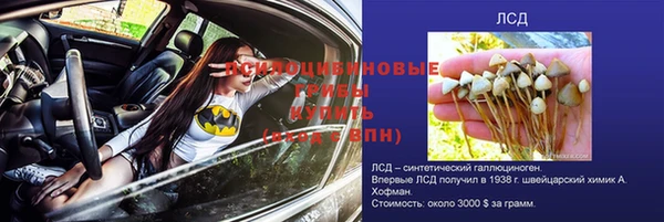 спайс Лагань