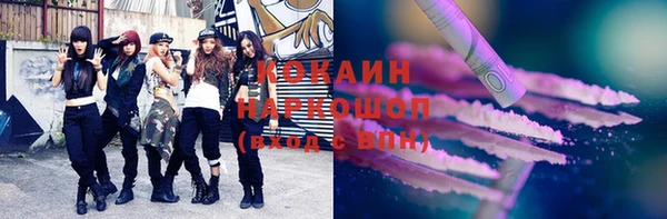 сатива Магас