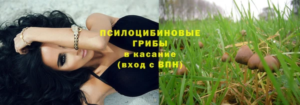 PSILOCYBIN Магадан