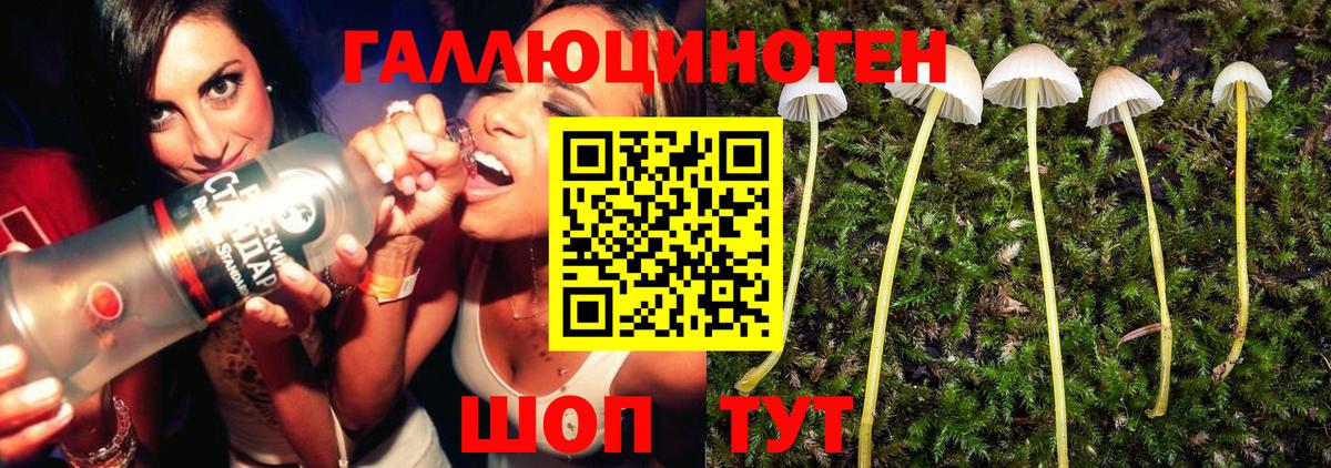 Лабытнанги  Галлюциногенные грибы мухоморы  Вход с VPN  Галлюциногенные грибы мицелий 